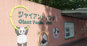 上野動物園パンダ舎