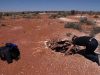 世界！極タウンに住んでみる