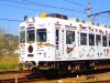 たま電車