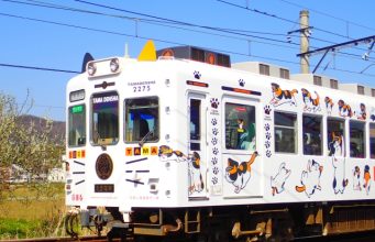 たま電車