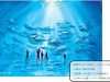 葛西臨海水族園建て替え