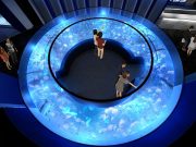京都水族館GURURI