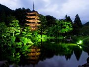 山口市