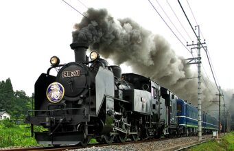 SL大樹