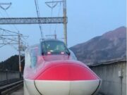 東北新幹線被害