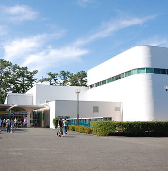 三保の水族館