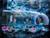 よみうりランド水族館