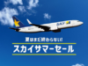 スカイサマーセール
