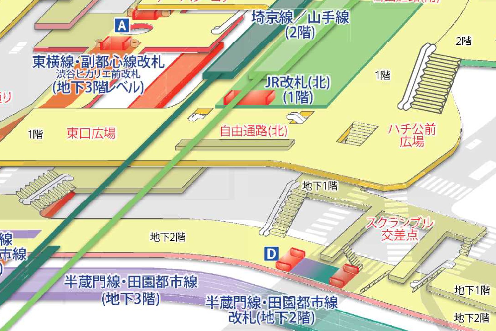 渋谷駅新構内図