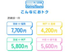 スカイマークBonvoYoung
