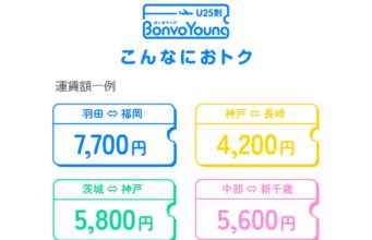 スカイマークBonvoYoung