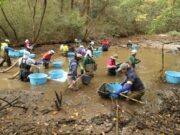国立科学博物館で「池の水ぜんぶ抜く」。12/14、参加者募集も即満員に 国立科学博物館かいぼり