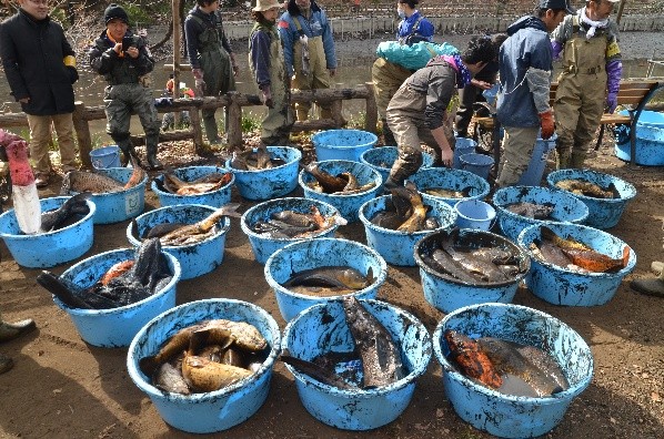 国立科学博物館かいぼり