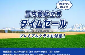 ANAタイムセール