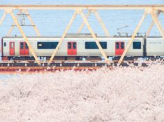 大野川、青春18きっぷ