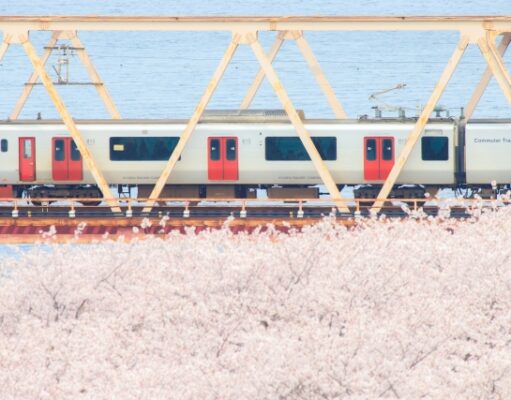 「青春18きっぷ」2026年春の利用期間がスタート。JR全線が乗り放題 大野川、青春18きっぷ