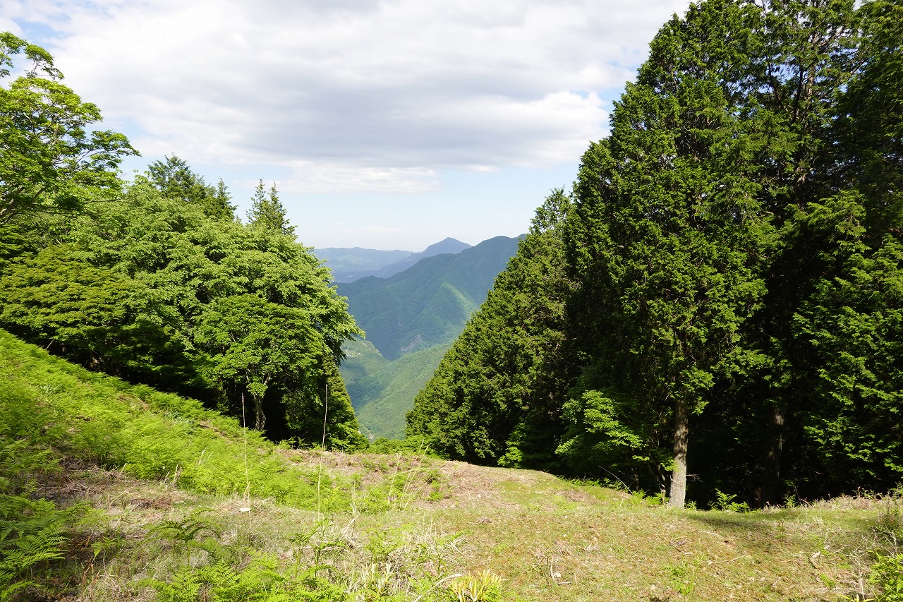 三峯ロープウェイ索道跡