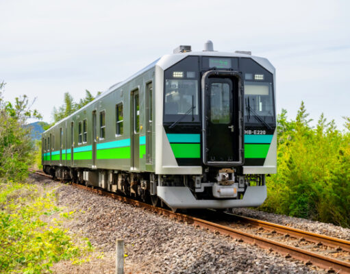 「北海道&東日本パス」2026年夏季版発売開始。7日間乗り放題で1万1780円 八高線HB-E220系