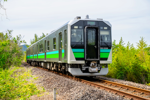 八高線HB-E220系