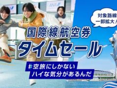 ANAが国際線タイムセール、7/14まで開催。プレエコ、ビジネスクラスも販売 ANAタイムセール