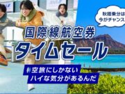 ANAセール20260804
