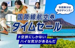 ANAセール20260804