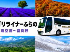 バスゴリライナーふらの